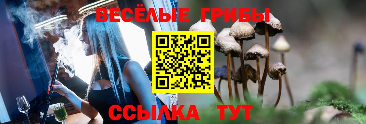 наркотики  Вход с VPN  Псилоцибиновые грибы Psilocybine cubensis  Лыткарино  Псилоцибиновые грибы Psilocybe 